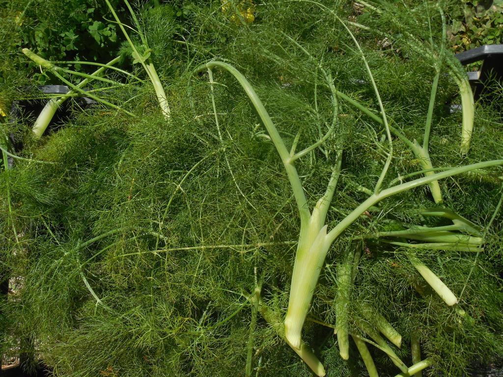 La Manna Di Zabbra Affittacamere Pollina Esterno foto